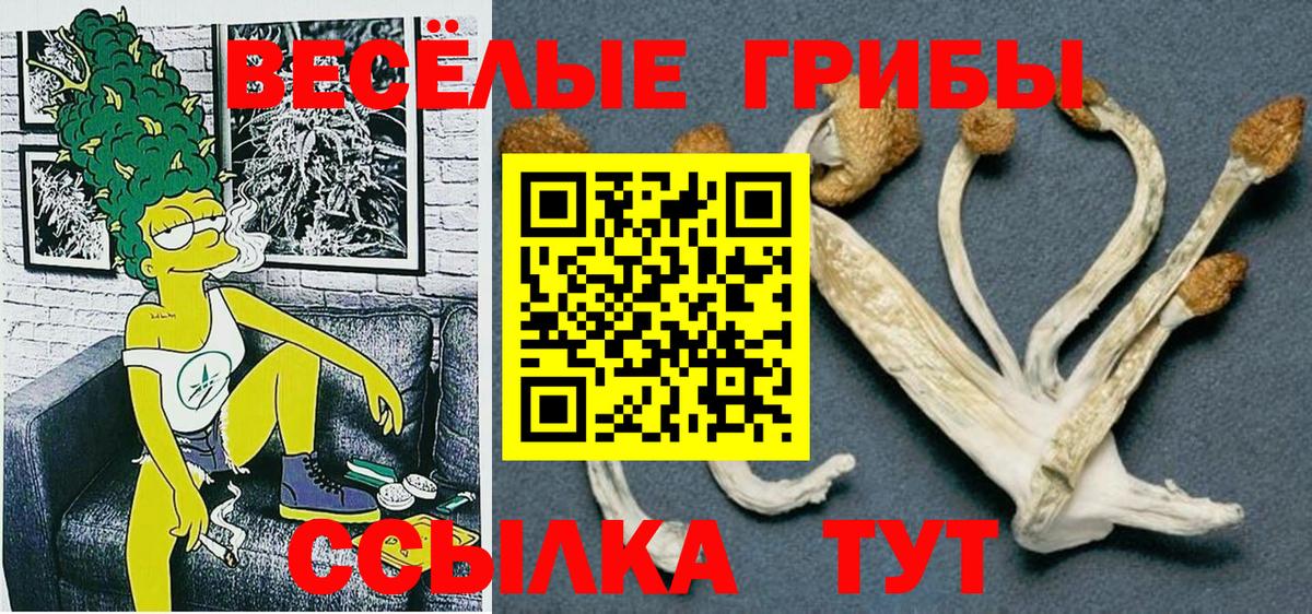 Псилоцибиновые грибы ЛСД Михайловка